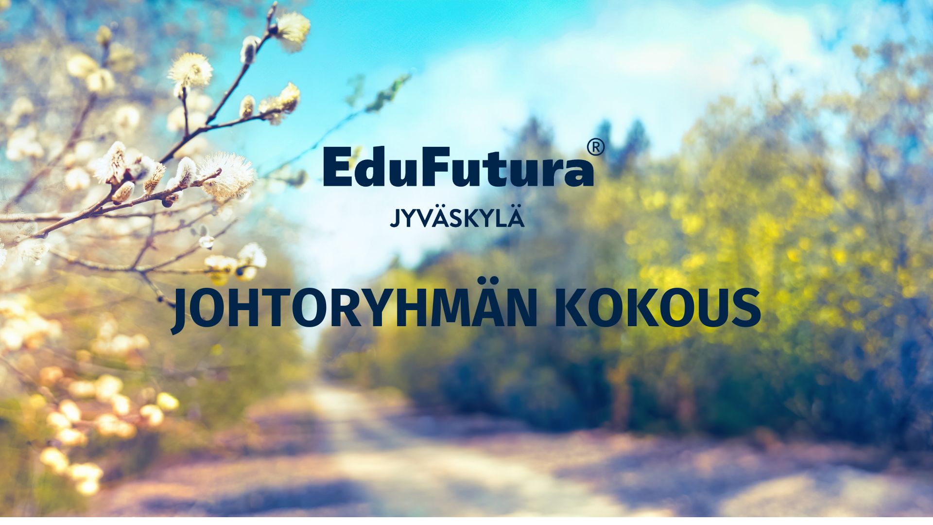 Keväinen tie, kuvan etualalla pajunkissoja. Edessä EduFutura-logo ja teksti "johtoryhmän kokous"